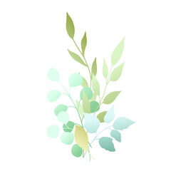 Bouquet of leaves. Eucalyptus Silver Dollar. Vector illustration.