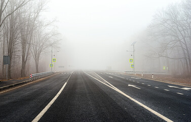 Асфальтована дорога в густому тумані з оголеними деревами по боках