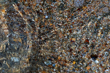 Seaside. Sea bottom. Shell rock.