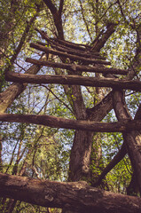 wooden ladder in the tree in forest