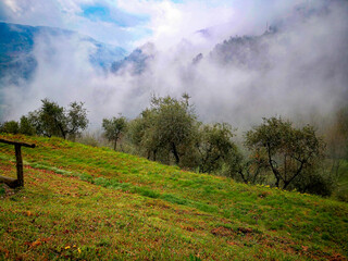 landscape in the mountains in the morning