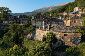Fototapeta na wymiar Stone houses of traditional architecture in Mikro Papigo in Epirus, Greece