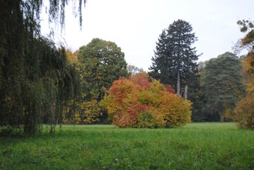 autumn in the park