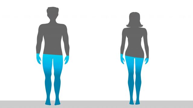 Water rate in the human body is seventy percent. Proportion H2O. Female and male silhouettes, filled with 70% water ratio. Gray blue male, female figures. White flat back. Health footage video