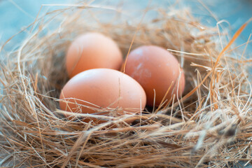 Easter eggs in nest on wooden background. Minimal easter concept. Easter card with copy space for text.