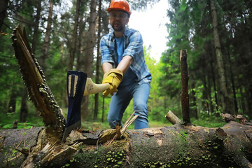 Naklejka na ściany i meble Male worker with an ax chopping a tree in the forest.