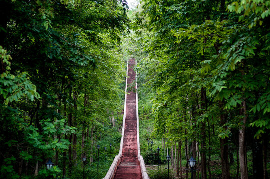 The stairs and the way up the hill to the top of Kradong