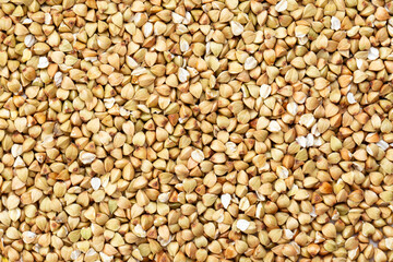 Buckwheat fresh background. Agriculture concept.