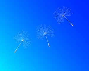 Dandelion Fluff Blowing in a Blue Sky Vector