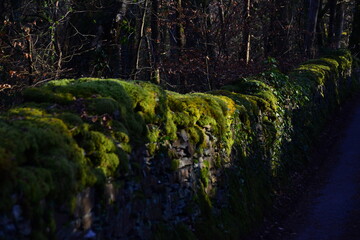 old mossy walls