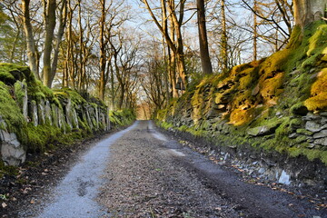 a small single lane road in wales with a wall on either side covered in moss
