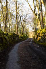 Fototapeta na wymiar a small single lane road in wales with a wall on either side covered in moss