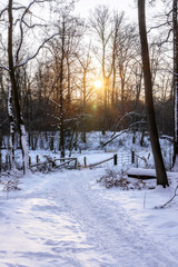 Schneebedeckter Waldweg im Klosterforst Loccum und die Lucca-Burg im Hintergrund in der Abendsonne im Februar 2021 