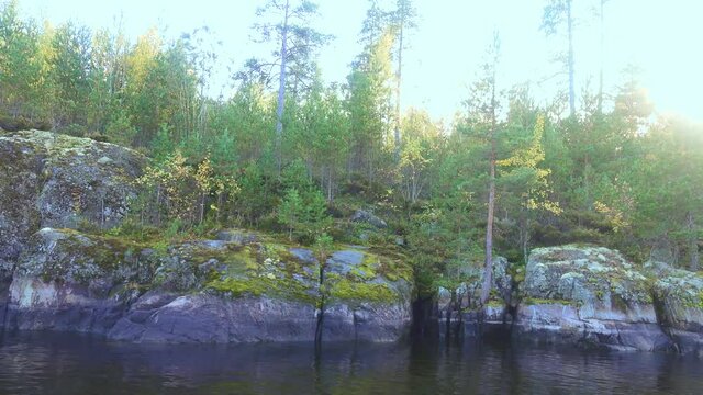 Baltic crystalline shield, esker. Glaciated landscape (glacial plaining). Stone cape, sheepback rock with small autumn birch, dwarf pines in North Ladoga lake (Ladoga skerries)
