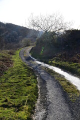 a single track road leading up to the mountains in the sunlight