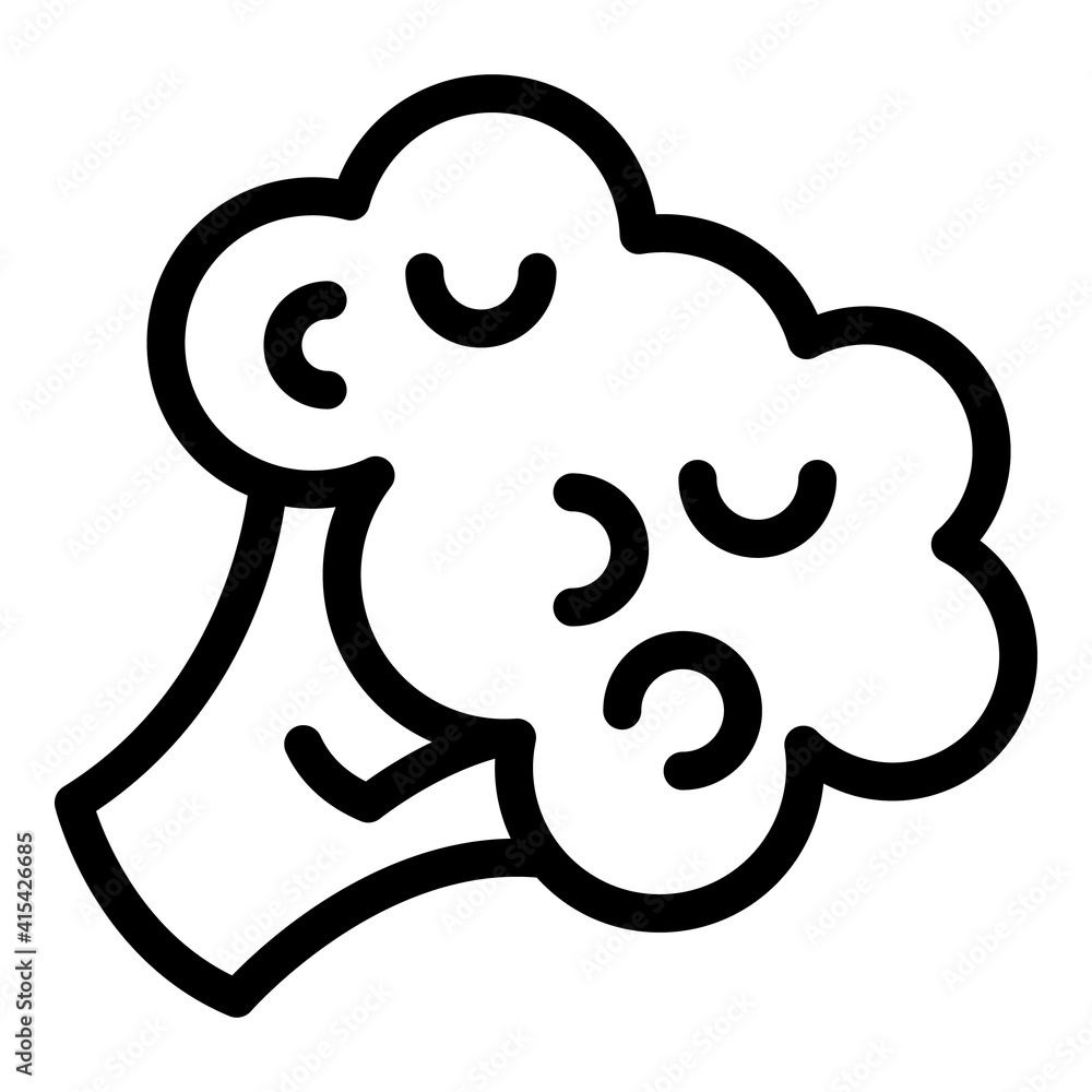Poster broccoli icon. outline broccoli vector icon for web design isolated on white background