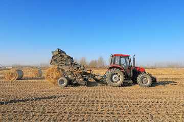 Fototapeta premium farmers use agricultural machinery to compress rice straw and bundle them on a farm, LUANNAN COUNTY, Hebei Province, China