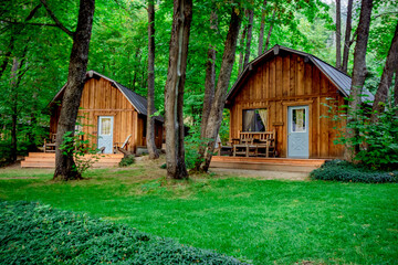cabins in the forest
