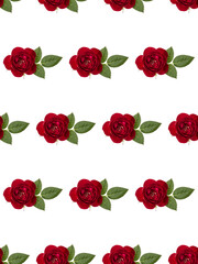 one red rose flower with leaves isolated on white background cutout. Floral seamless pattern.