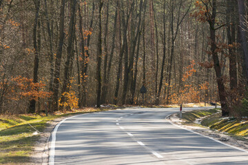 Asfaltowa droga w liściastym lesie.