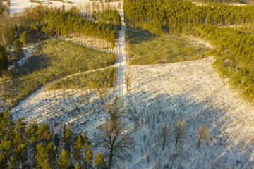 Las zimą. Widok z drona. © boguslavus