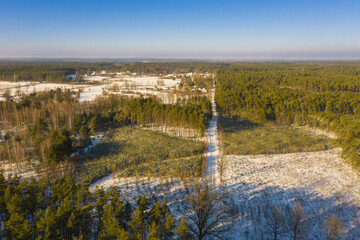 Las zimą. Widok z drona. © boguslavus