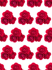 red rose flower bouquet isolated on white background cutout. Floral seamless pattern.