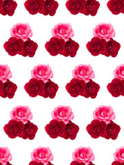 red and pink rose flower bouquet isolated on white background cutout. Floral seamless pattern..