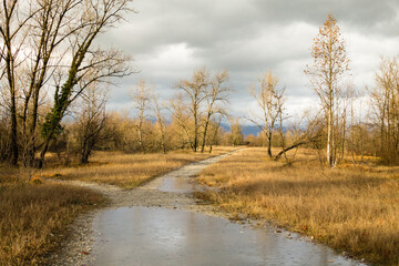 Rural landscape, dirt path through countryside.