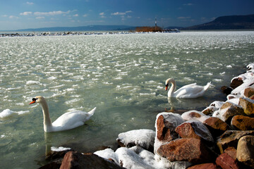 Lake Balaton in witer time, Hungary	 - 415431484