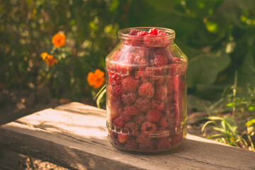 Summer in the garden. Red sweet raspberries in a glass jar in the garden. Summer raspberries.