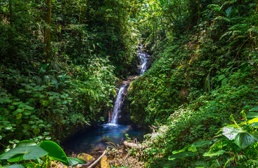 Small Waterfall in a Monteverde Cloud Forest Reserve in Costa Rica. Foggy rainforest in the mountains. Central America.