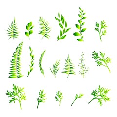 set of nature leaf flower logo design vector