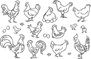 Vector collection set with roosters, hens, chicks and eggs.