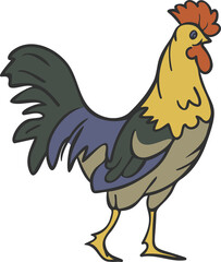 Vector illustration of farm rooster isolated on a white background.