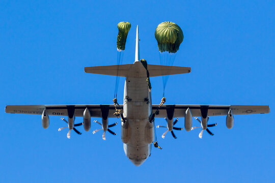 Military parachutist paratroopers jumping from a US Marines C-130 Hercules plane.