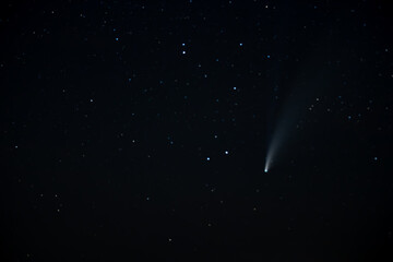 Obraz na płótnie Canvas Neowise Comet 