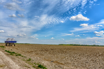 Agricultural work in the field in spring.