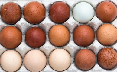 Farm fresh organic brown, speckled, pink, white and creme colored backyard chicken eggs texture in egg box, top view full frame close up background, self sufficiency concept