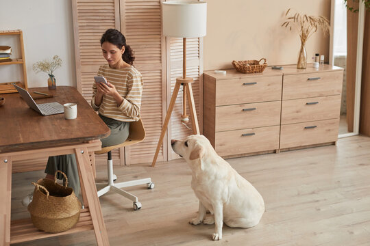 Warm Toned Wide Angle Portrait Of Modern Young Woman Using Smartphone At Home Office With Dog Sitting By Her In Cozy Interior, Copy Space