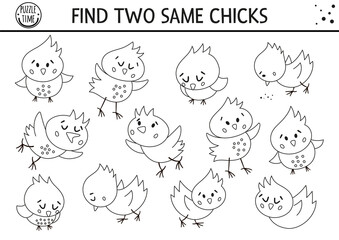 Find two same chicks. Easter black and white matching activity for children. Funny spring educational logical quiz worksheet for kids. Simple printable game or coloring page with cute chickens.