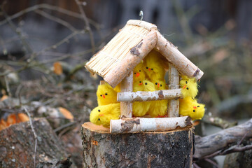 Funny picture of Easter chicks in a bird feeder.
