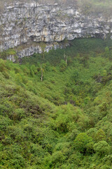 Los Gemelos craters, Santa Cruz Island, Galapagos Islands, Ecuador