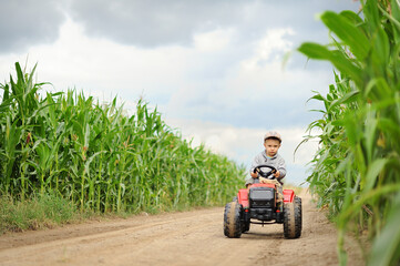 Ein Bauernjunge fährt mit einem Traktor durch ein Maisfeld.