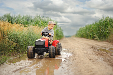 A farmer boy is driving a tractor through a corn field. - Powered by Adobe