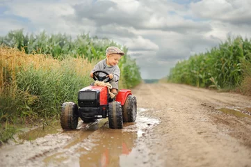 Papier Peint photo Tracteur Un garçon fermier conduit un tracteur dans un champ de maïs.