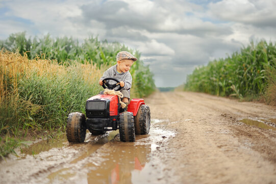 A farmer boy is driving a tractor through a corn field.