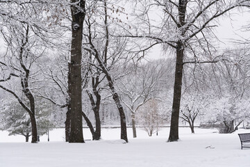 Snowy James J. Braddock Park during Blizzard in February 2021