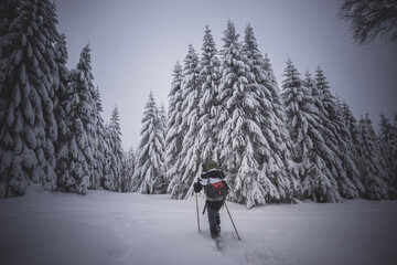 person walking in snow