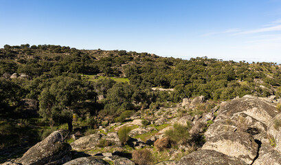 Typical scenery of the countryside in Extremadura, a rural region in the west part of Spain.
